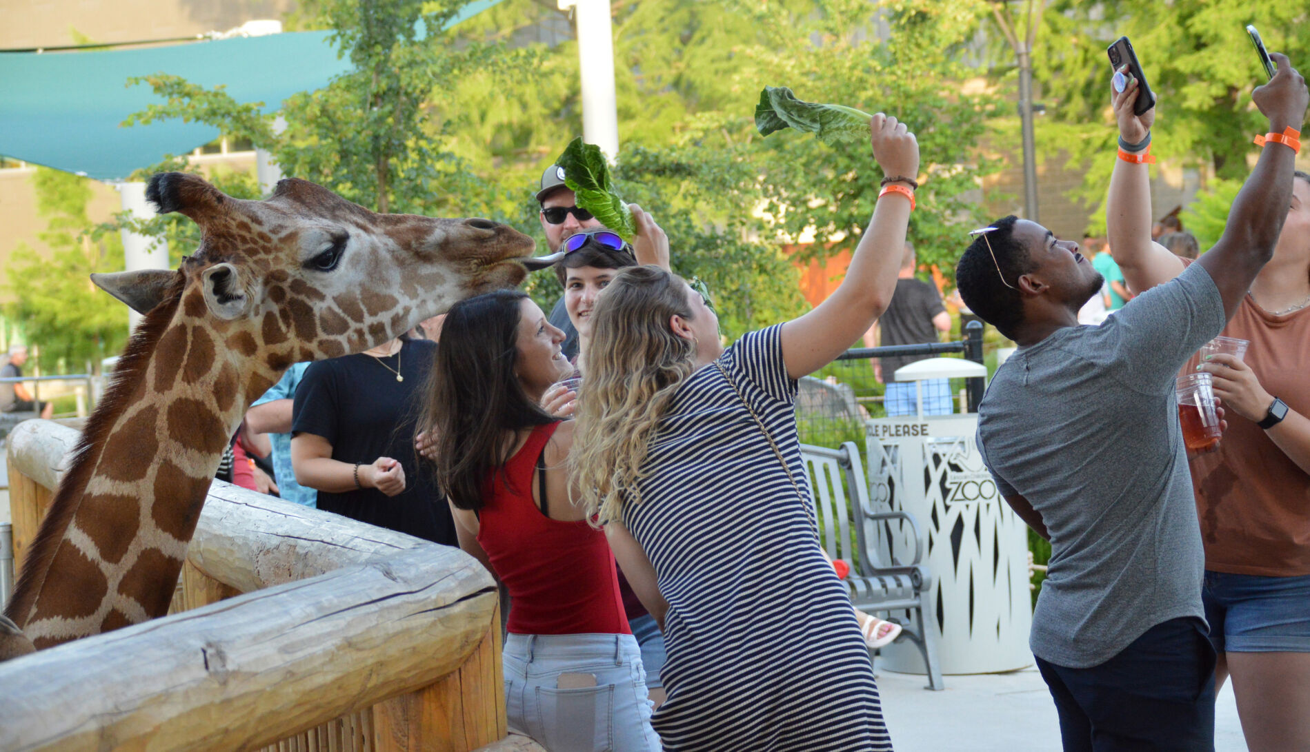 Photo time at the zoo